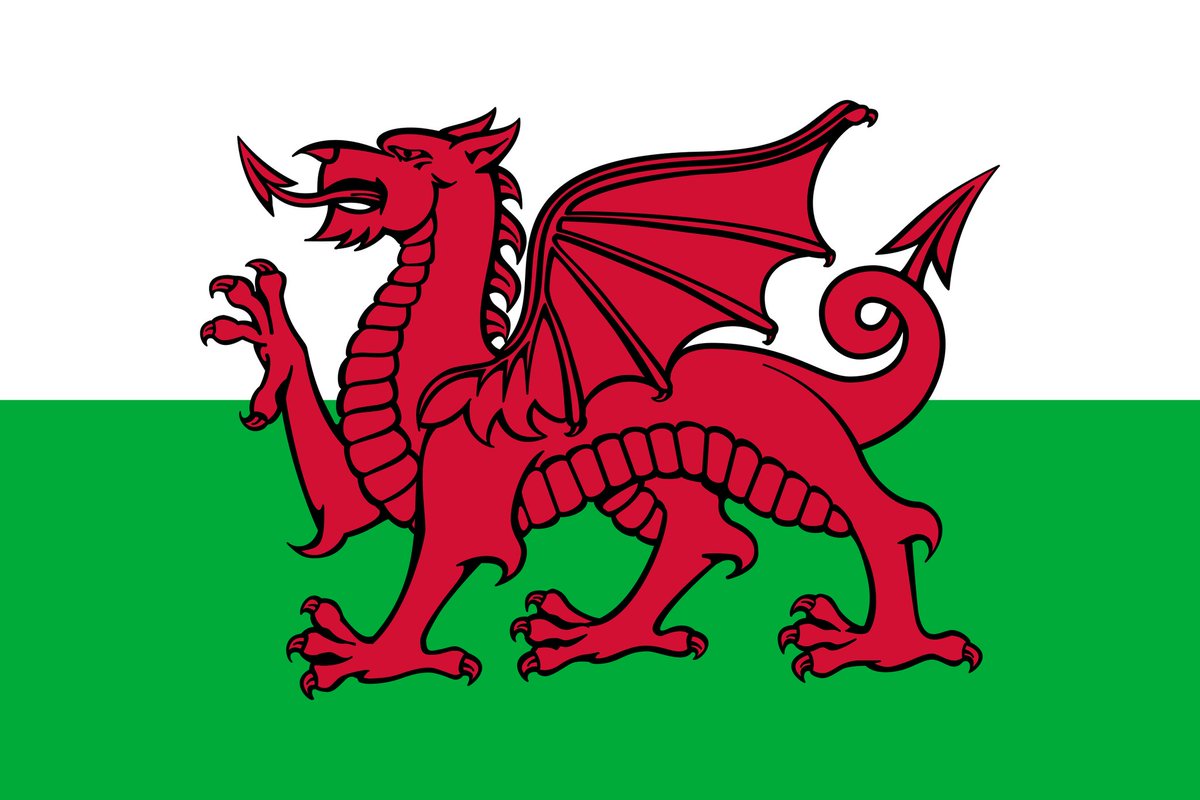 VegitoMeatRider's tweet photo. @TheKasodus Wales flag https://t.co/kyNA8tNoj8