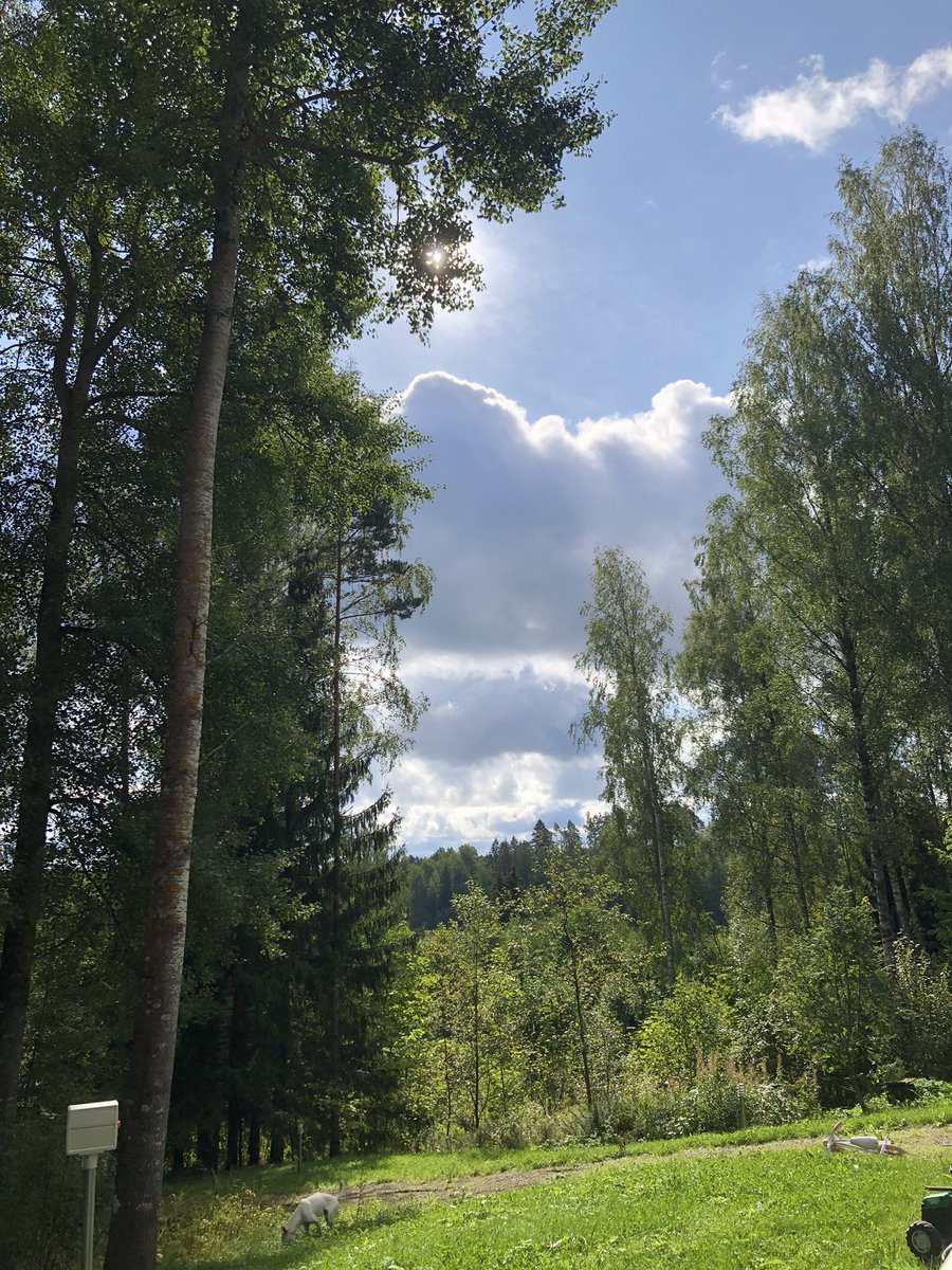 ︎kezke (@mvglii) on Twitter photo 