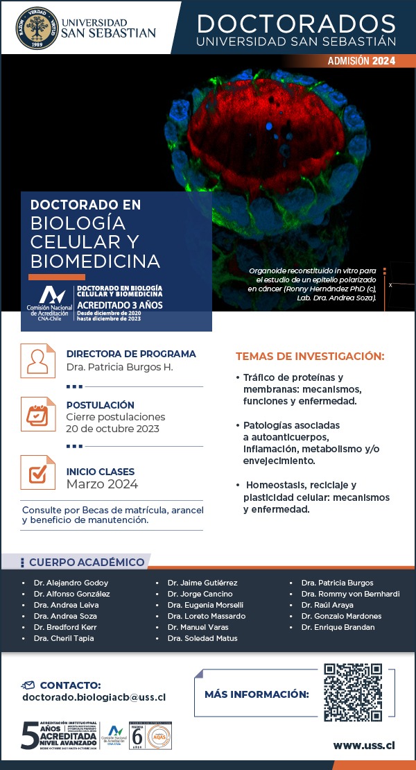 _SBCCh's tweet image. ¡ALERTA DE DOCTORADO! Doctorado en Biología Celular Y Biomedicina, Universidad San Sebastián (USS).   
Postulaciones hasta el 20 de octubre. Más info en:  doctorado.biologiacb@uss.cl