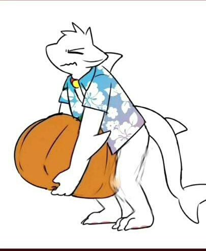 cocoshark_br's tweet photo. As vezes eu tenho que fazer tudo sozinho 
#cocoshark https://t.co/VH5FBMTYHy
