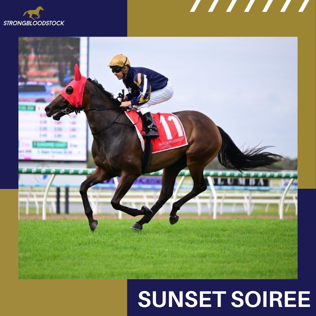 Two mighty mares fly the flag today  👇

🏇 BINDI'S CHOICE heads to @royalrandwick (Kensington) for trainer @DavidPffieffer
🌇 SUNSET SOIREE steps up in trip @brisracingclub for @tonygollan after closing off well under @WilsonTaylor99 last start

Good luck to all our partners 🤞