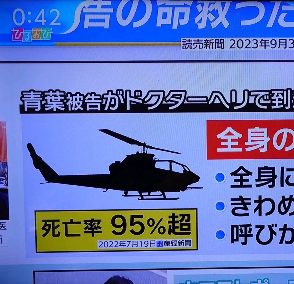 坂倉小5@鯉党 tweet media