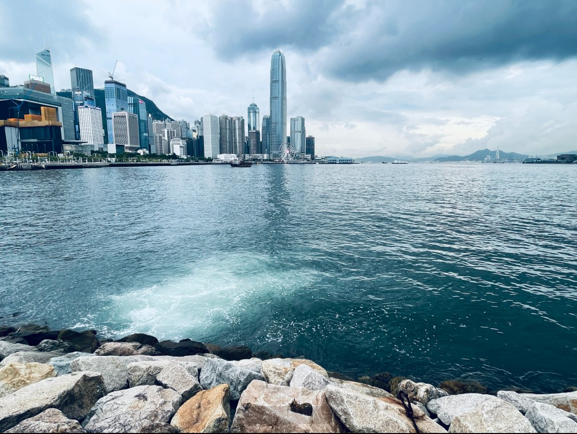 Hxt81300920's tweet photo. @AccumulusEXCH Victoria Harbor and Cats。🐱 https://t.co/JyU0tURMk3