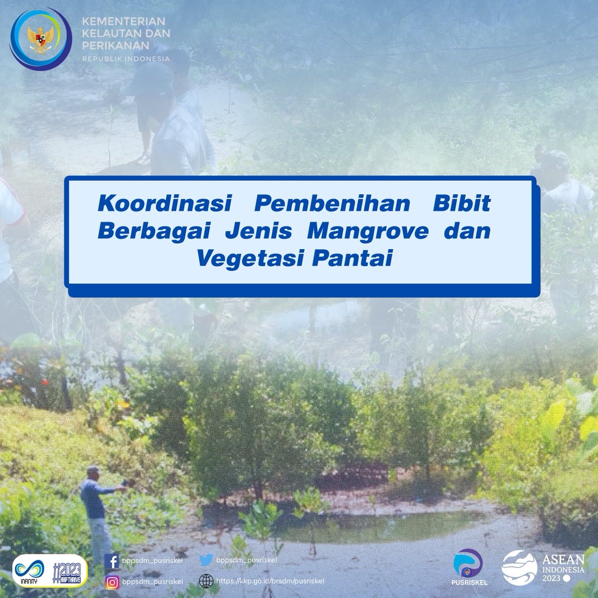 pusriskel's tweet photo. Pangandaran (02/09/23) Tim #Piamari (Usep Mulyadi dan Guntur) beserta tim pelestari mangrove #Pangandaran melakukan koordinasi &amp; diskusi terkait pembenihan bibit berbagai  jenis mangrove &amp; vegetasi pantai yang ada di sekitar kawasan PIAMARI.
@kkpgoid @bppsdm_kp @hendrasiry https://t.co/NGgak5iiVq