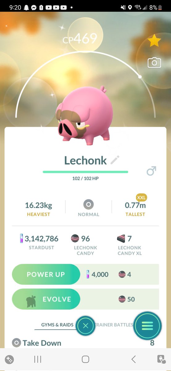 DJ_KadeYT's tweet photo. That's a BIG heckin' oinker right there! Love seeing the shiny sparkles and the huge pokemon sparkles at the same time :) 

#PokemonGO
#ShinyPokemon https://t.co/4mkj0gMVyB