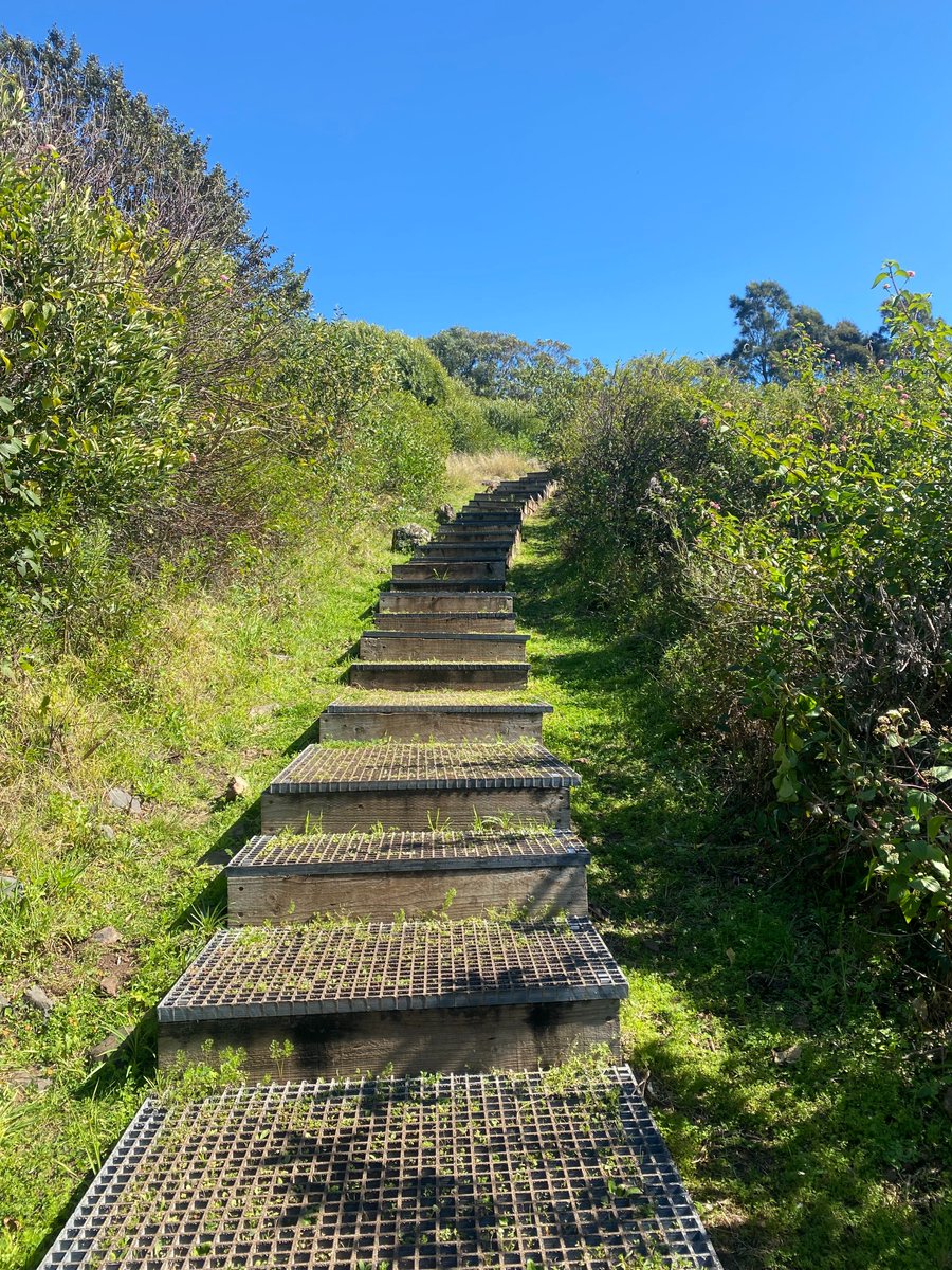 Erin_Shanley_'s tweet photo. #Mark320 Just started and thought to run up a set of these stairs today... https://t.co/4ICbxE72DA