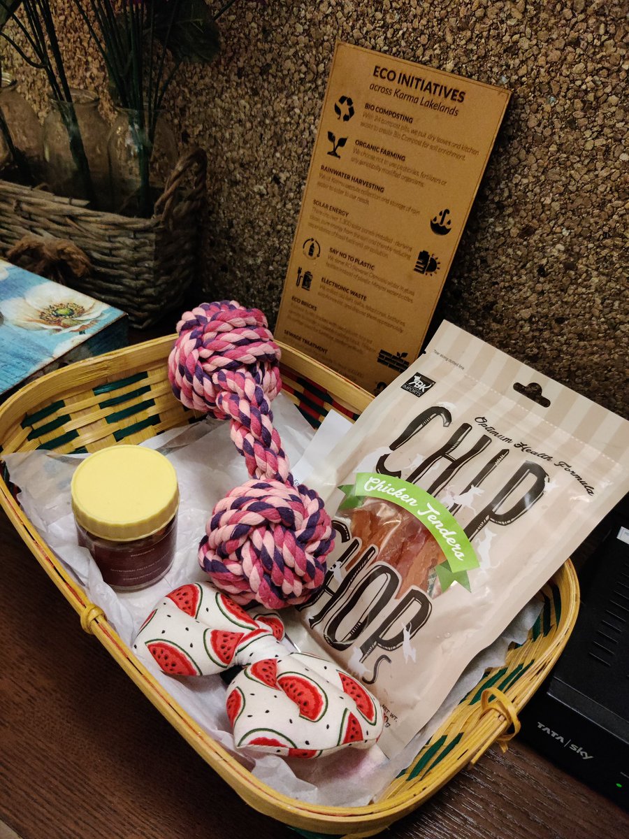 Havaldarshinde's tweet photo. Got the cutest lil gift basket from @ForTheFurKids and @karmachalets for our lil baby 💕 thank you! https://t.co/dtG2iNkzBi