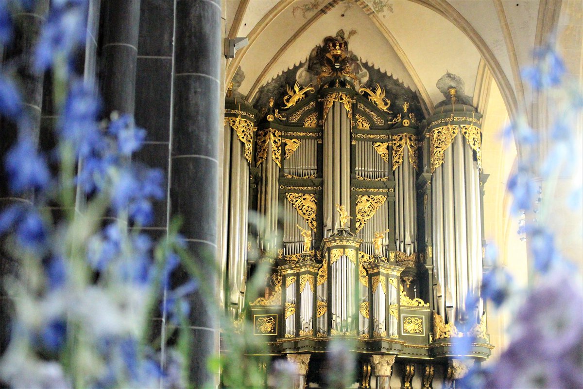 ORGELCONCERT <a href="/Martinikerk/">Martin</a> GRONINGEN door LEENDERT VERDUIJN, winnaar Internationaal Martini Orgelconcours Groningen 2022. Werken van Bach, Bruhns en Alain. Woensdag 6 september 2023, aanvang: 20.00 uur. Info: avondmuziek.nl <a href="/AvondmuziekG/">Avondmuziek Martinikerk Groningen</a>