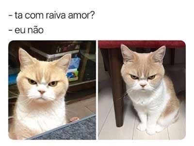 #Escorpião 

Com essa cara mas não admito.