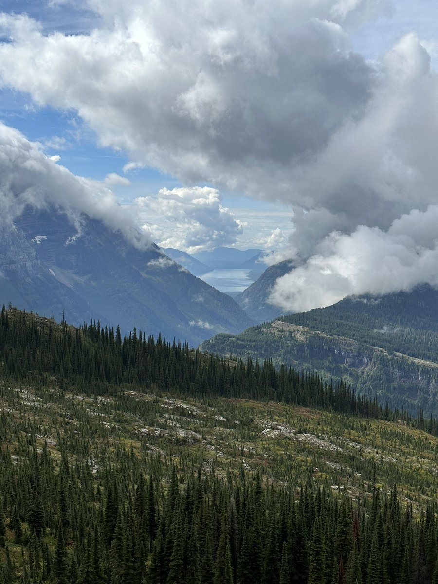 zmj's tweet photo. I’m in Glacier National Park with @thornmallow ! Today we hiked the Highline Trail. The day started out enveloped by clouds, and gradually cleared for huge vistas. https://t.co/Y2IUbC0YRe