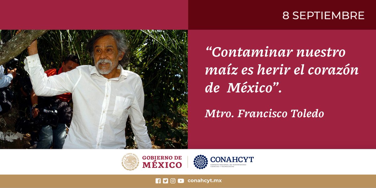 El gran y muy querido Mtro. Francisco #Toledo fue un incansable defensor de la cultura, de las tradiciones ancestrales y de nuestros maíces nativos, sustento alimenticio del pueblo mexicano. Un referente del arte nacional y máximo exponente de su estado natal #Oaxaca. ➡️1/2