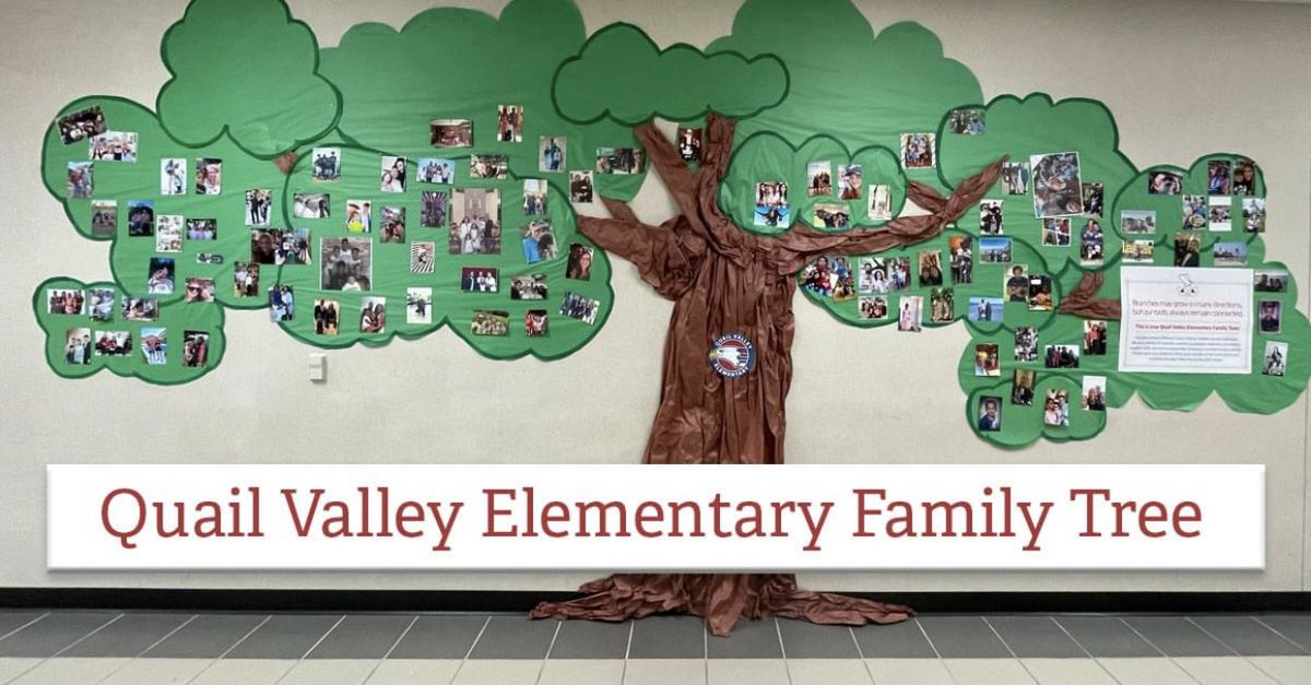 QVE_Eagles's tweet photo. Our Eagle Family Tree continues to grow! 💗🌳 https://t.co/sXPtQHkDRU
