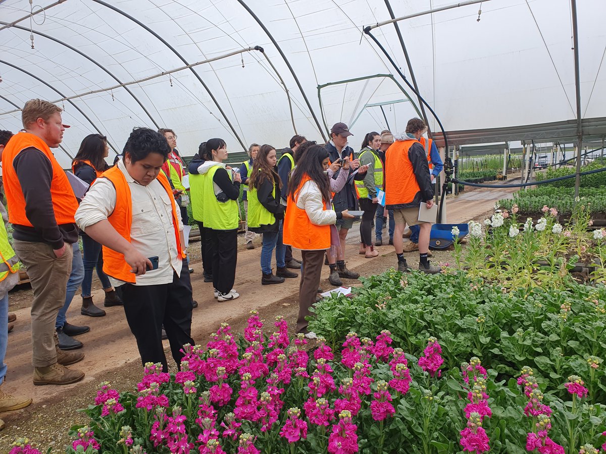 TasInAg's tweet photo. 🌾🚜 Our Ag Science students embarked on an unforgettable adventure last week! Students visited agricultural businesses to learn from industry experts & gain valuable insights that will help shape their future careers. #TasInAg #UTASLife #AgricultureEducation #ThisIsAgScience https://t.co/XgLaR6BX4o