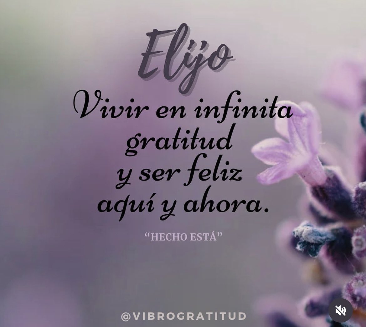 Sololuz5's tweet photo. HECHO ESTÁ ! https://t.co/F0PLgQp0Os