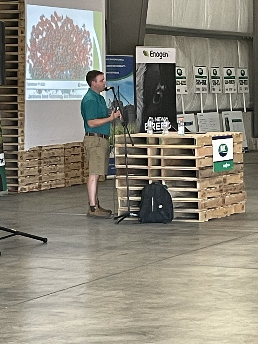 Doug Helm tweet media