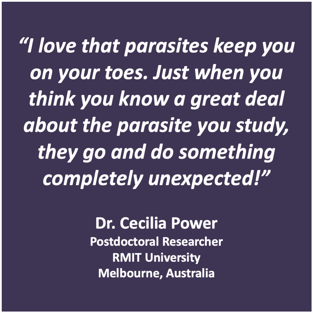 Herminthology tweet media