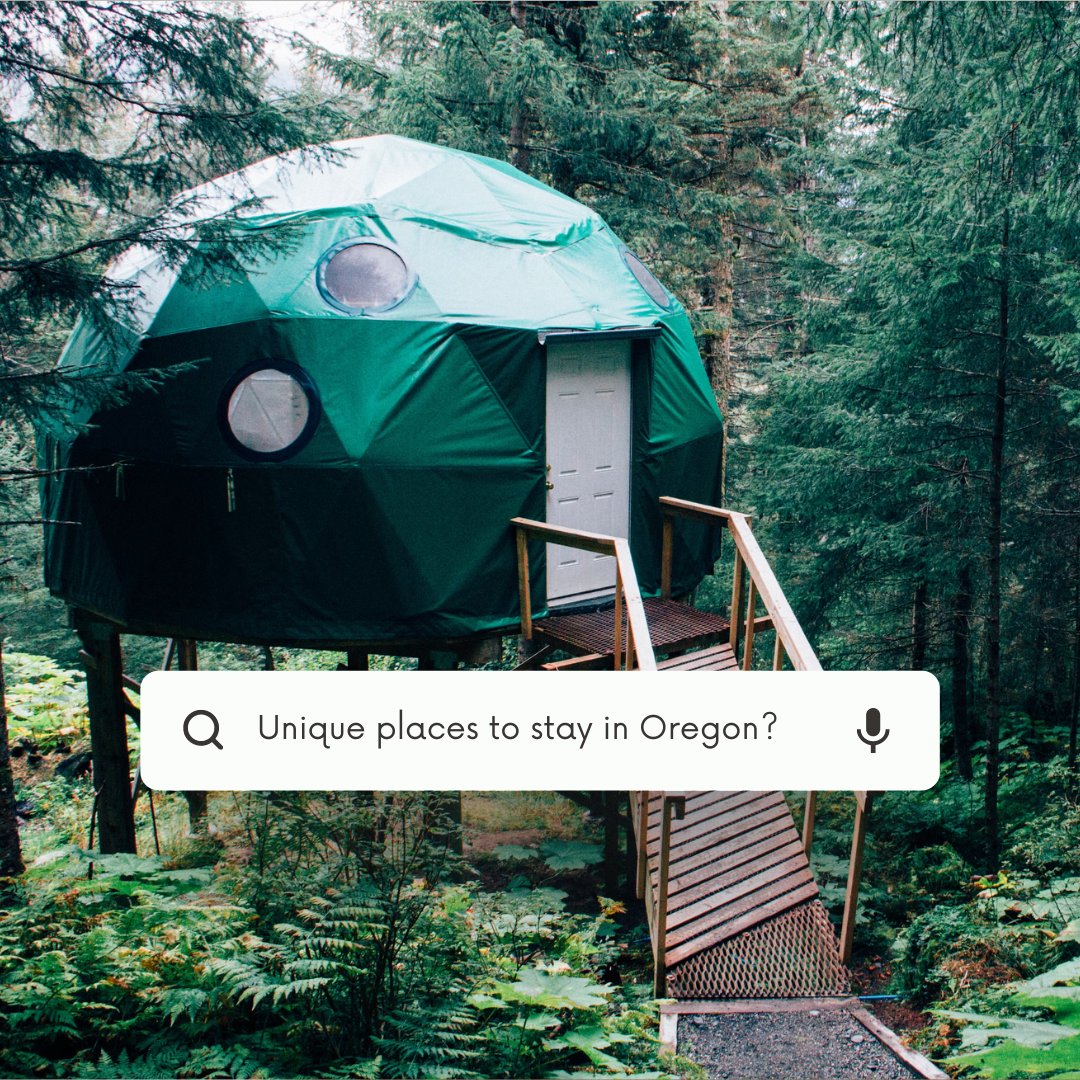 Let's Roam tweet media