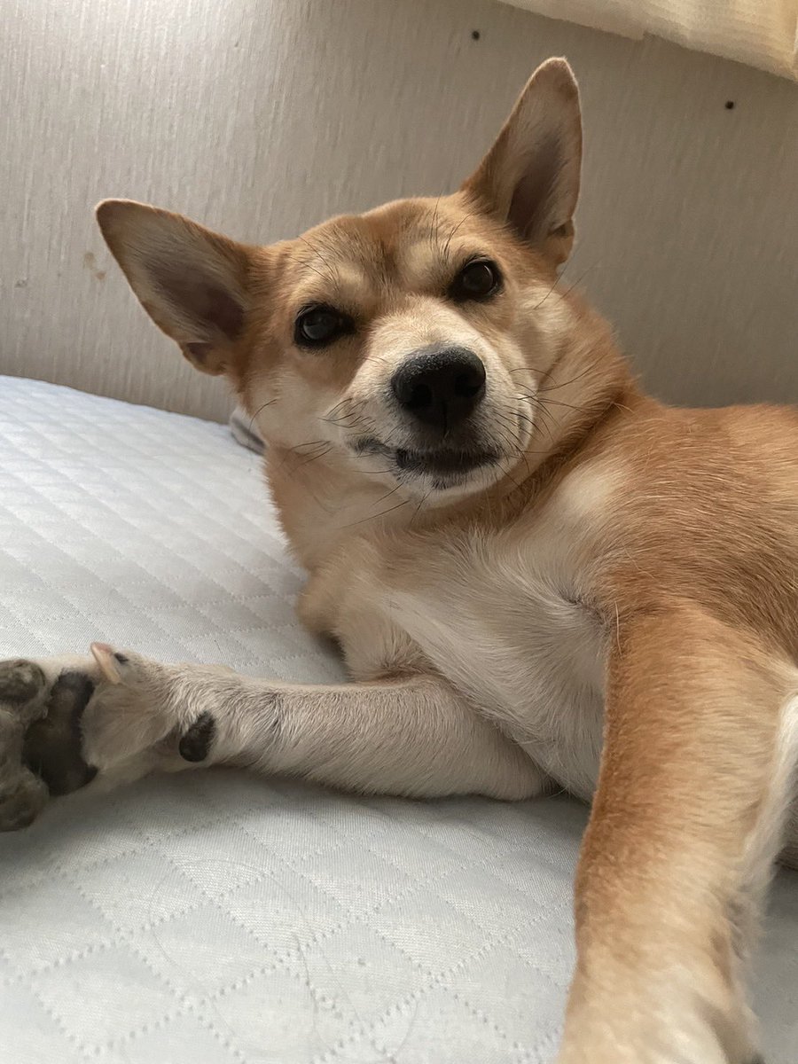 本日と明日は、お休みとなっております。
金曜日は、通常営業です。
土曜日は、MOTO CUP のためお休みです。

⚠️お天気の状況によっては、MOTO CUPは、日曜日の開催となります。その場合は、土曜日は営業、日曜日をお休みとさせていただきます。

どうぞよろしくお願いいたします。