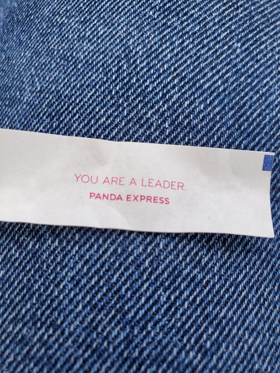 Feeling like a leader as I wolf down orange chicken and chow mein in my 2009 toyota corolla parked outside Panda