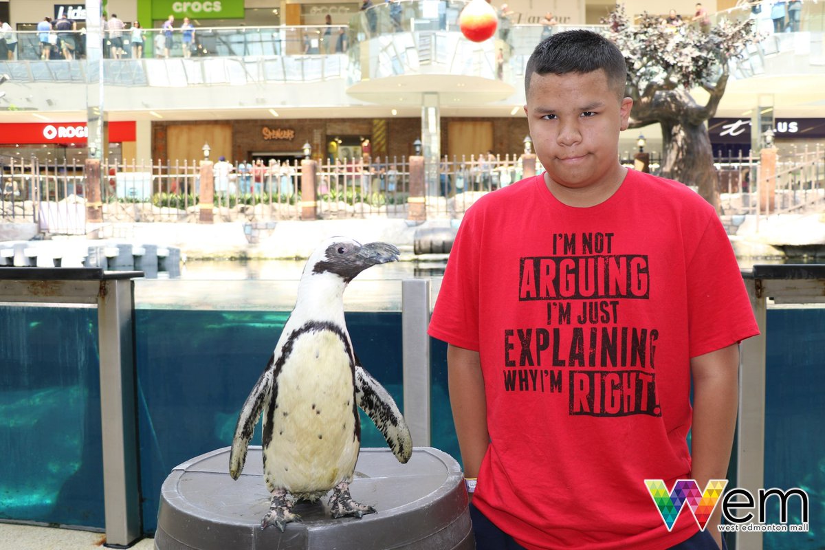 Spitfiredickey's tweet photo. My son with the penguin at west Edmonton mall ❤️❤️ https://t.co/B3mxQVjXF3