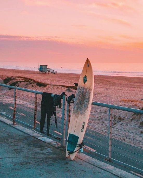 surfshop's tweet photo. Everything you need in one picture. https://t.co/pBN564rvwE