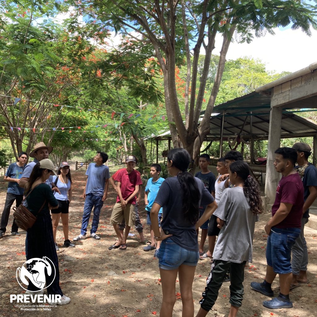 alianzappn's tweet photo. La 72, Refugio para migrantes en el sur de México ha desarrollado espacios de retiro dirigido a niñas, niños y adolescentes para fortalecer su espiritualidad y su conexión con la naturaleza, y como contribuyen al bienestar de cada una y uno.
#Alianzappn #ProyectoPREVENIR https://t.co/TCKxUmcwuf