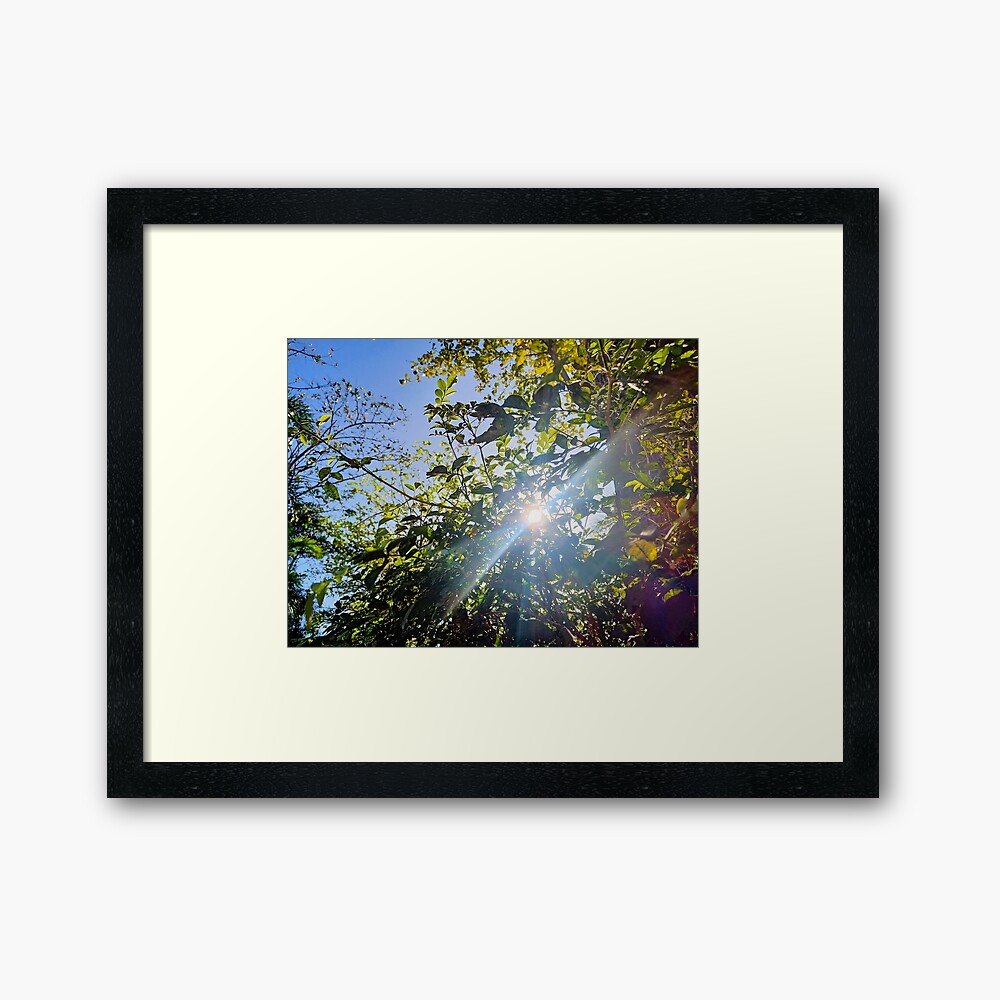 Bbeeryllium's tweet photo. Who loves photography? "Glimpse of Light" is one of my favorite shots. You can purchase this in my @redbubble shop. Check it out!
Visit: https://t.co/XihqkHWoDQ
#glimpseoflight #glimpse #light #photography #art #artist #frame #redbubble #redbubbleartist #redbubbleshop #photo https://t.co/cAIVB6NWQo