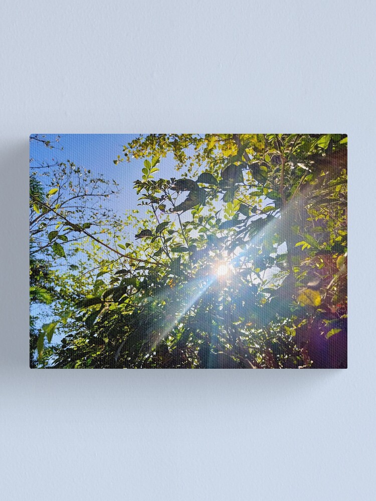Bbeeryllium's tweet photo. Who loves photography? "Glimpse of Light" is one of my favorite shots. You can purchase this in my @redbubble shop. Check it out!
Visit: https://t.co/XihqkHWoDQ
#glimpseoflight #glimpse #light #photography #art #artist #frame #redbubble #redbubbleartist #redbubbleshop #photo https://t.co/cAIVB6NWQo