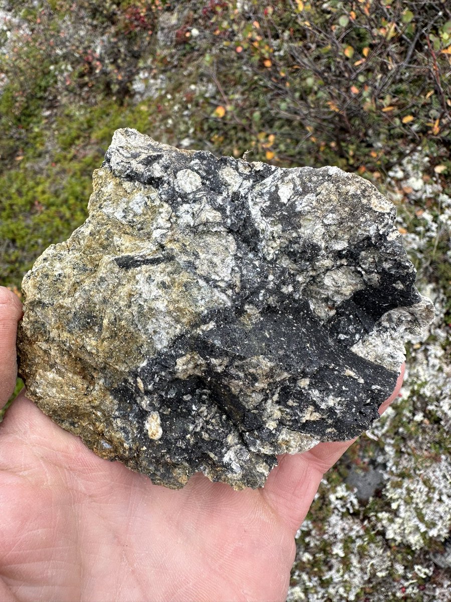 drcrater's tweet photo. Today was about true exploration as we all explored a part of the central uplift that I had never visited before. And what discoveries we made, reminding us of how Kamestastin is such a unique analogue for the Moon #Kamestastin2023 #Artemis #ToTheMoon #exploration https://t.co/3HyY7OpJze