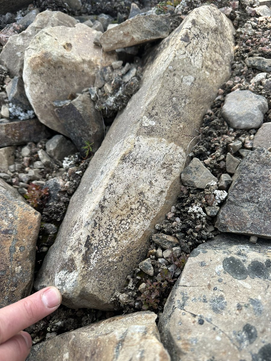 drcrater's tweet photo. Today was about true exploration as we all explored a part of the central uplift that I had never visited before. And what discoveries we made, reminding us of how Kamestastin is such a unique analogue for the Moon #Kamestastin2023 #Artemis #ToTheMoon #exploration https://t.co/3HyY7OpJze