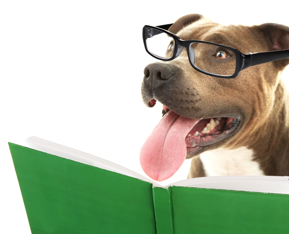 FluentUEnglish's tweet photo. 24 English Course Books to Ramp Up Your Language Learning https://t.co/mILaucC8OM #learnenglish https://t.co/qXfJyW7FCn