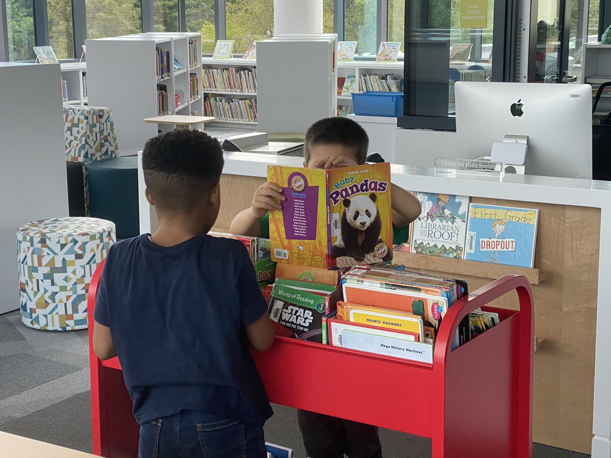 SpoedeLibrary tweet media