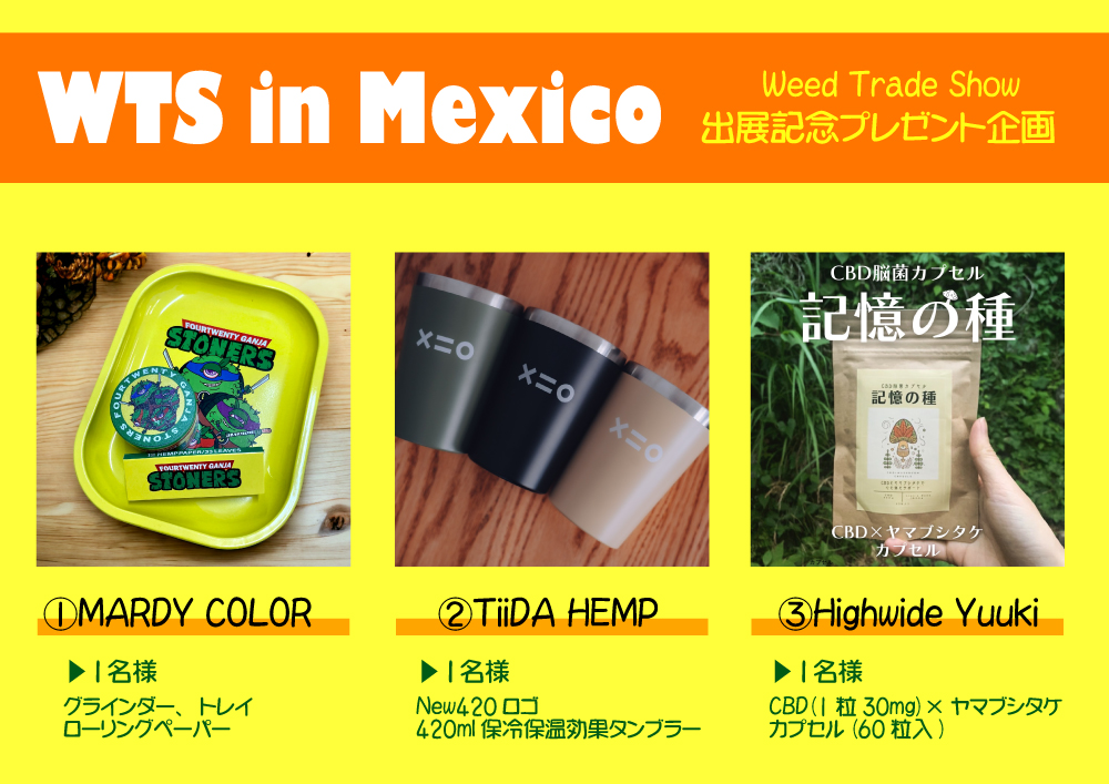 MARDYCOLOR's tweet photo. 🎁プレゼント企画🎁

メキシコで行われるWeedTradeShowに日本人初出展‼
現地サポーターのYuukiとMARDY COLOR・TiiDA HEMPが参戦👍

祝しまして３人からのプレゼントです⭐

▶応募方法
@MARDYCOLOR 
@tiida_hemp 
@Highwide_yuuki 
３名をフォロー＆ＲＴ
※欲しい商品をコメントで当選確率ＵＰ⤴
▶応募期間
2023/9/6～9/20　

商品詳細は追加ツイートへ→