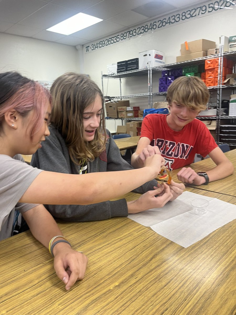 erinahong's tweet photo. Fun little icebreaker to kick off our @VEXrobotics competition season @ParksJHS with this year’s #ParksRoboticsTEAM. Students worked together to save Fred! the gummy worm from its capsized boat using paperclips 🖇️ &amp; 🛟 a gummy lifesaver.  #parksbest2years #FSDlearns https://t.co/X2ZsKwYAEX