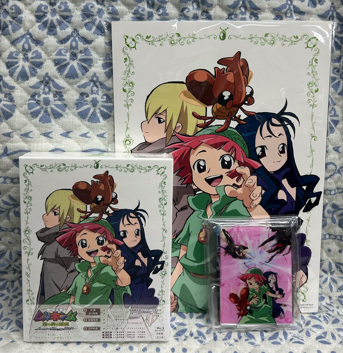ついに私のところにアニメ「甲虫王者ムシキング〜森の民の伝説