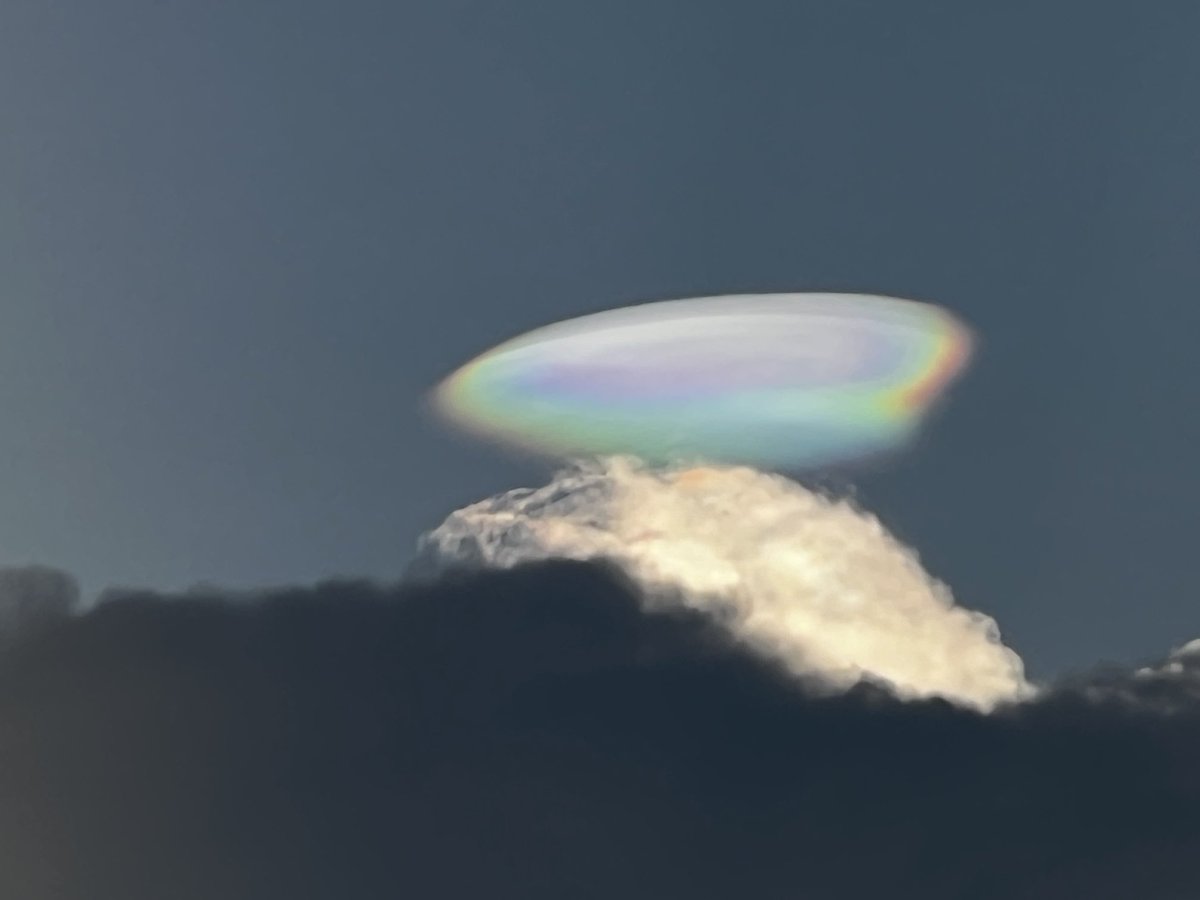 Alejandro Tass tweet media