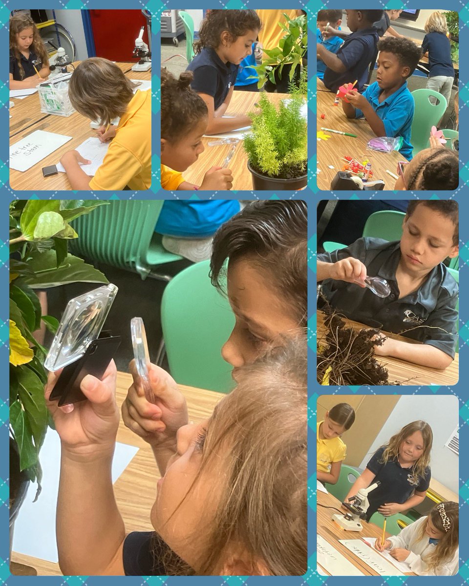 Oasis Elementary South tweet media