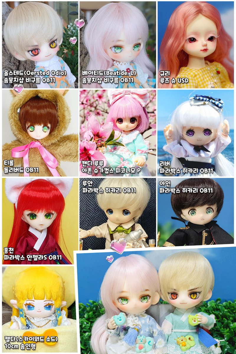 시트러스 tweet media