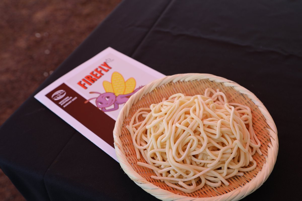 Firefly - Shining a light on noodle wheat yield 🍜

Yesterday we launched Firefly, new mid-slow maturing ANW setting a new yield benchmark for noodle wheats. Thanks to <a href="/AEGIC/">Australian Export Grains Innovation Centre</a> for giving us an excellent noodle sensory experience. 

Read more about Firefly here: