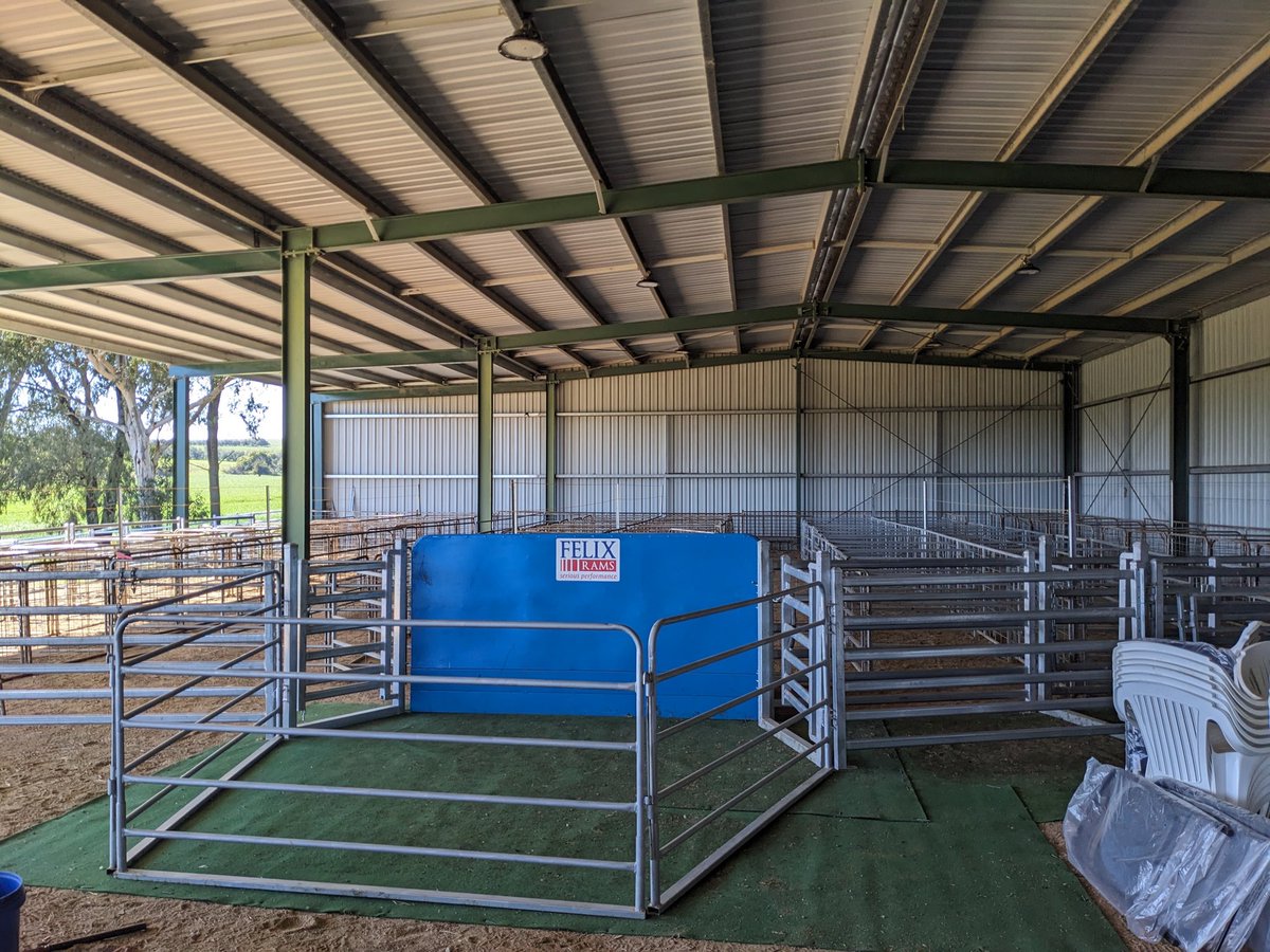 Nearly ready for tomorrow.