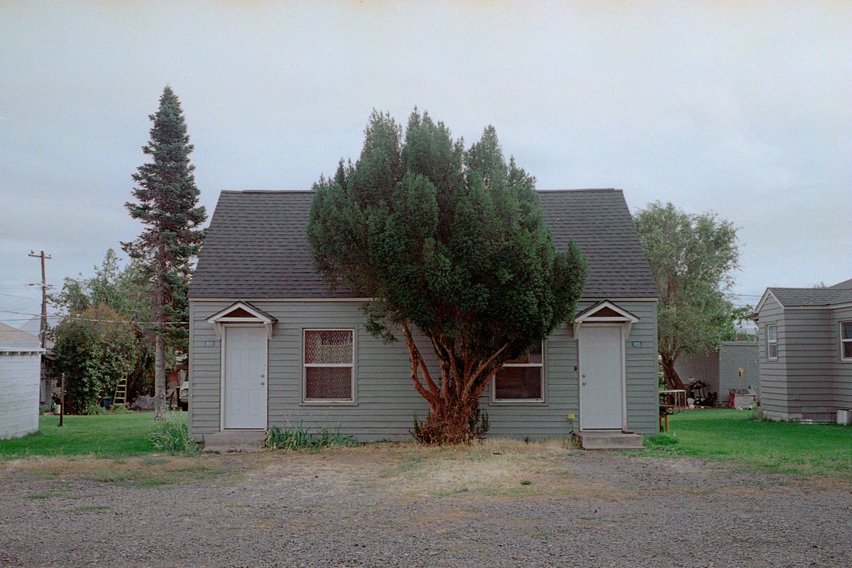 arthuritis_'s tweet photo. Some recent favorites shot on fuji 400 🎞️ https://t.co/coMHFeX2BR