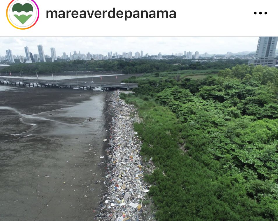 Esto da gana de llorar.. nos oponemos a la minería y el contrato que concesiona muchas tierras para la destrucción  ecosistemas. Y como ciudadanos también debemos ser responsables de no contaminar nuestros ríos y fuentes hídricas.  #CostadelEste Imagen reciente IG <a href="/MareaVerde_PA/">Marea Verde Panamá</a>