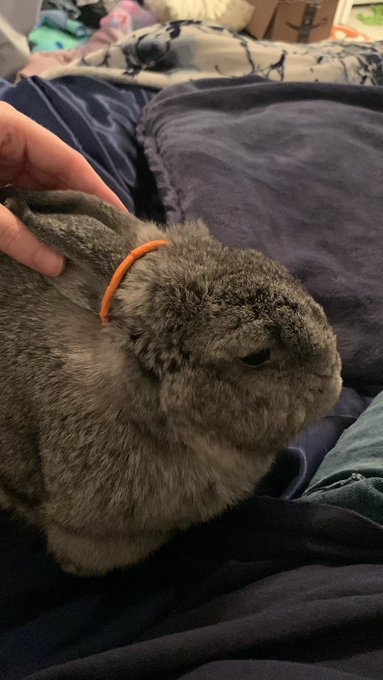 My babyyyy https://t.co/UZ9izz1aqr<a href="/tag/mvsales"class="tags"><span>#mvsales</span></a>