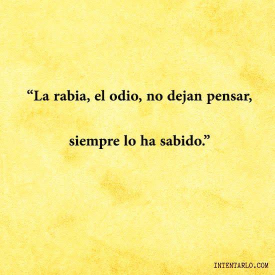 Alejandra Urbina (@auc_koda) on Twitter photo 