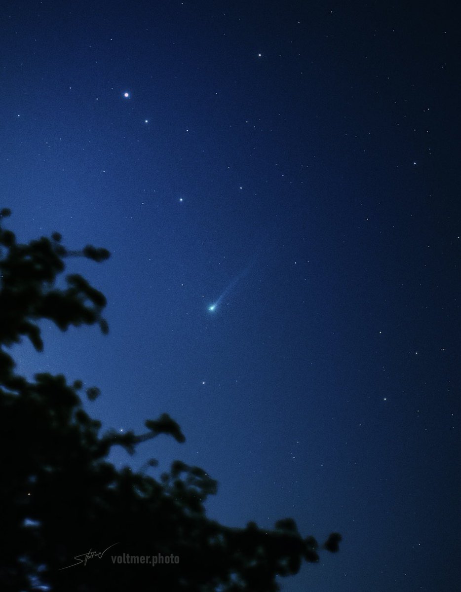 SeVoSpace's tweet photo. Comet Nishimura (C/2023 P1) on Sept 5, 2023. For this single shot I used my A7s and a 135mm lens.

Nishimura is a new comet that was discovered on August 11, 2023. It's expected to brighten to a magnitude of 1.8. Its closest approach to us will be on Sep 12 and its perihelion on Sep 17/18.

Image credit: @SeVoSpace 

#comet #nishimura #newcomet #space #universe #observer #starrynight #skyscape #camera #sebastianvoltmer #c2023p1 #astronomy #astrophotography