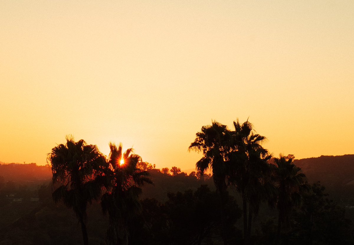 ProsperLaMenace's tweet photo. @Chinwvr_ California 🌴🌅 https://t.co/uf9WA3o7Sy