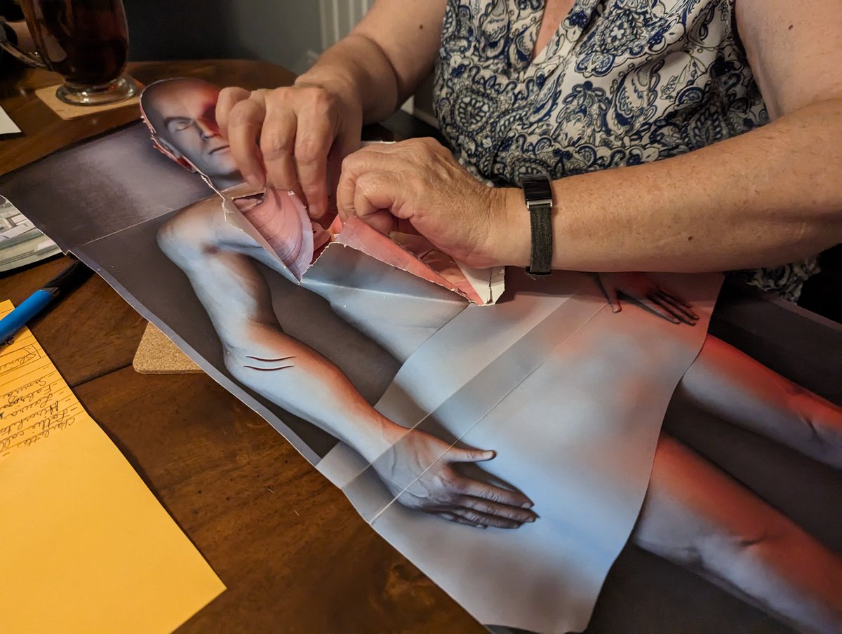 Tabletop Bellhop (Moe T) 🛎️ tweet media