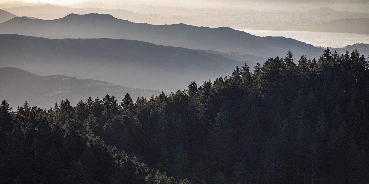 It's here! Our just-released and much-anticipated Marin Regional Forest Health Strategy brings together community engagement, environmental justice, climate planning, and best available science to protect and improve forest health. See the release here: onetam.org/one-tam-partne…