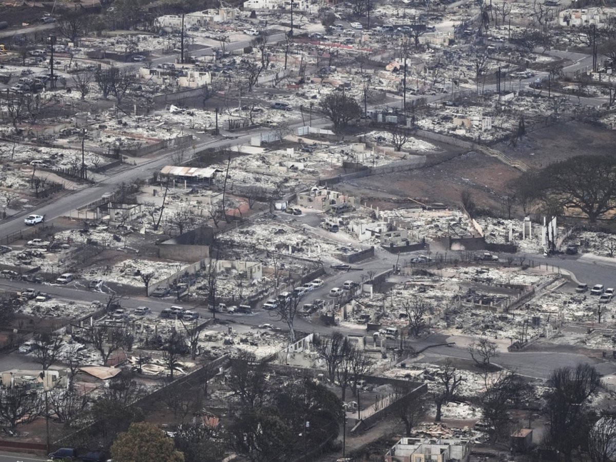 dpcwatcher's tweet image. It could take years — or longer — to repair the environmental damage from the wildfires that devastated parts of Maui.