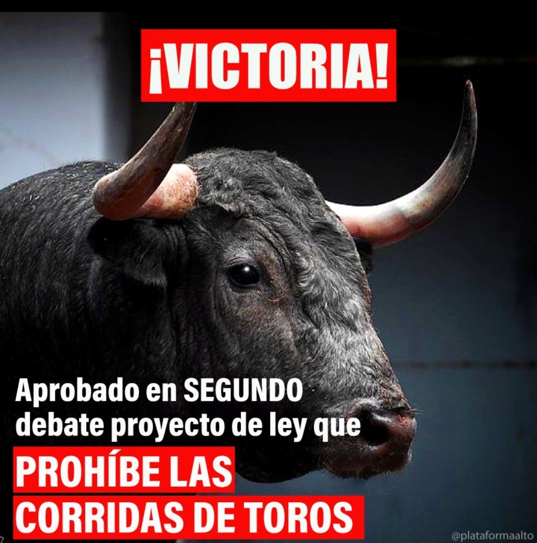 ¡VICTORIA EN EL SENADO!🚨 Hace unos minutos APROBADO en segundo debate el proyecto de ley que PROHÍBE las CORRIDAS DE TOROS en toda Colombia. ¡Un millón de gracias a los senadores y senadoras que alzaron su voz por los animales!❤️🐂🎉🎉🎉